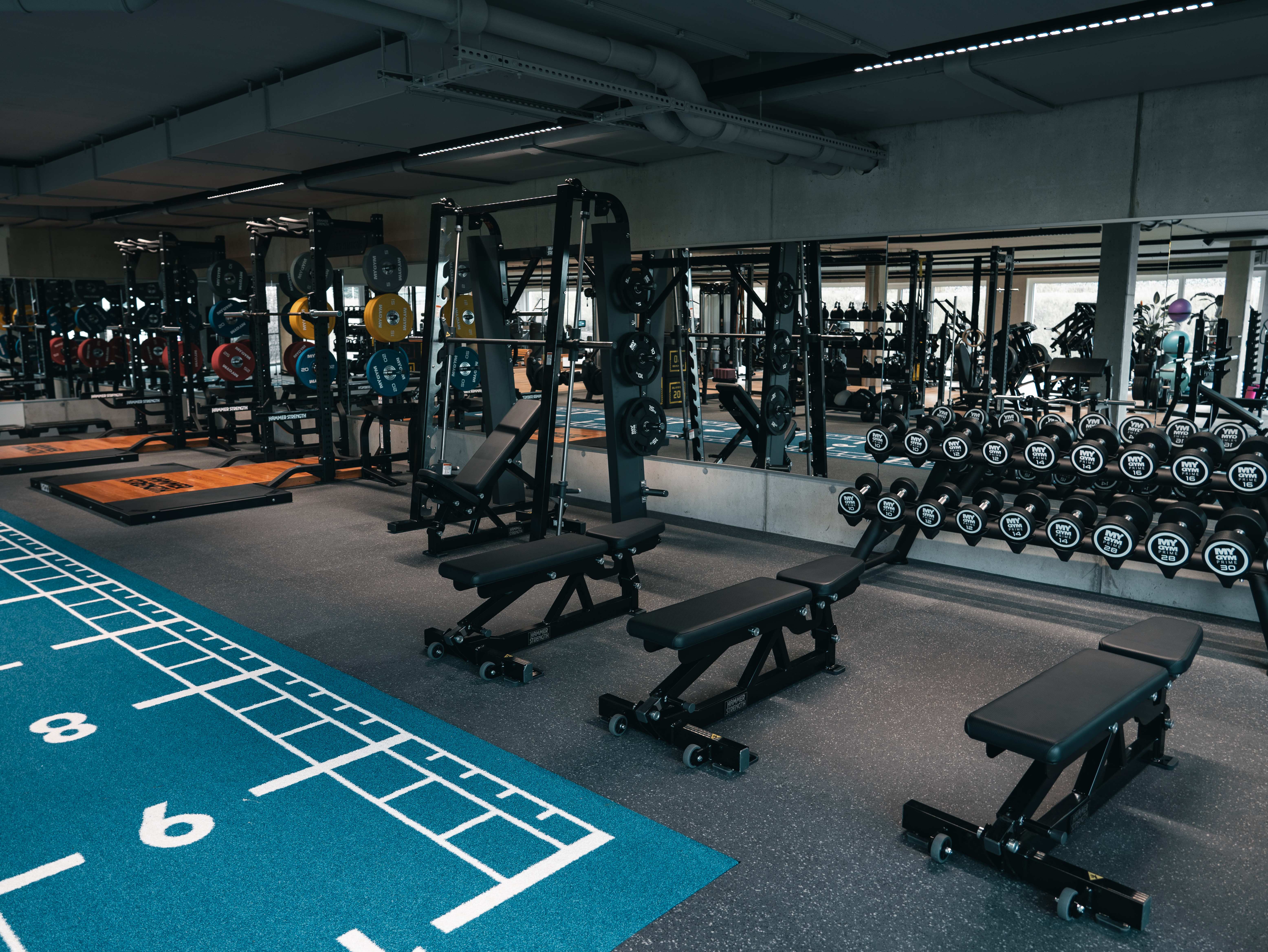 Hantelbereich MYGYM PRIME Straßwalchen